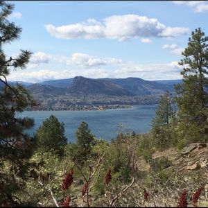 Meet your Posher, Shani